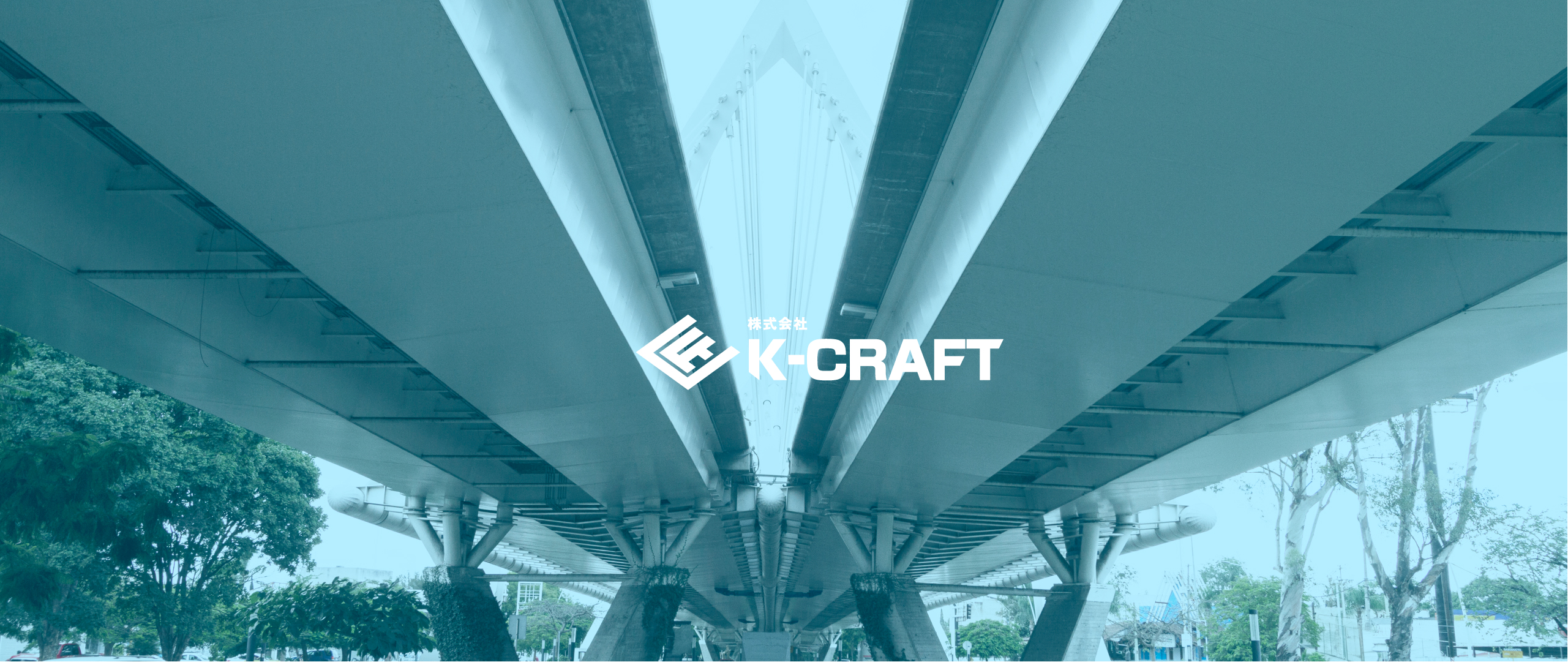 Company Profile